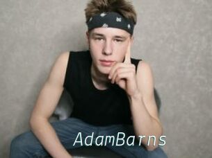 AdamBarns