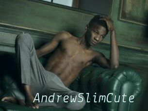 AndrewSlimCute