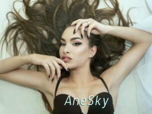 AneSky