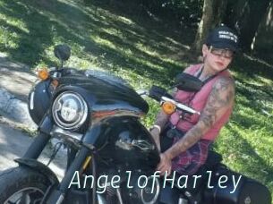 AngelofHarley