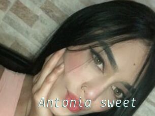 Antonia_sweet