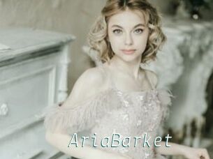 AriaBarket