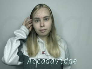 Accadavidge