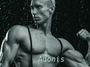 Adonis_