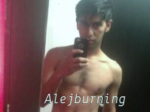 Alejburning