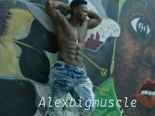 Alexbigmuscle