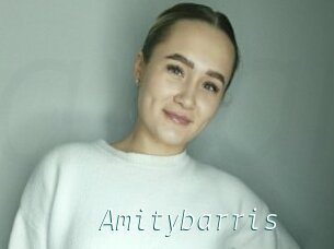 Amitybarris