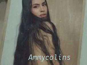 Ammycolins