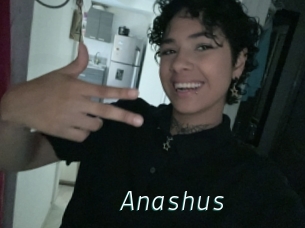 Anashus