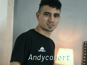 Andyconort