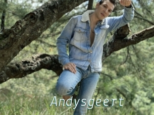 Andysgeert