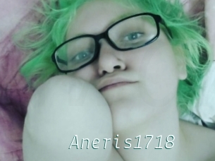 Aneris1718