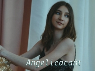 Angelicacant