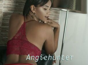 Angiehunter