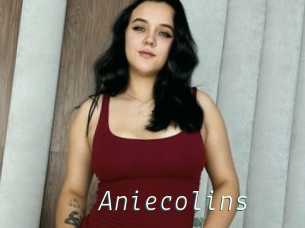 Aniecolins