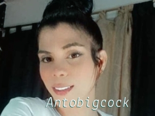 Antobigcock