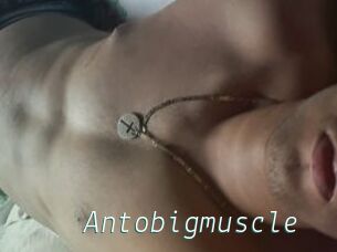 Antobigmuscle