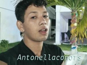 Antonellaconors