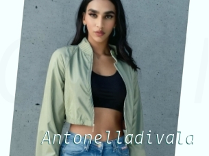 Antonelladivala