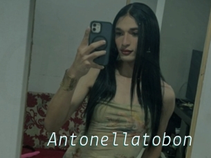 Antonellatobon