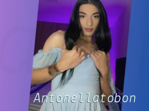 Antonellatobon