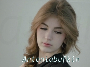 Antoniabufkin