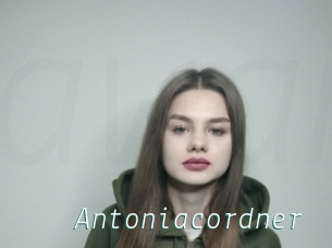 Antoniacordner