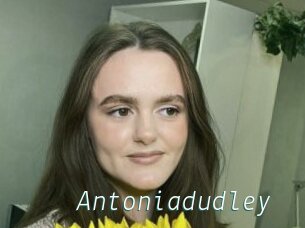 Antoniadudley