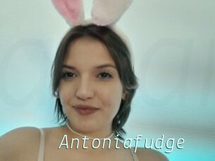 Antoniafudge