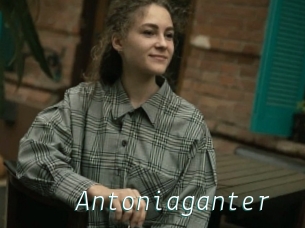 Antoniaganter