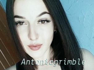 Antoniagrimble