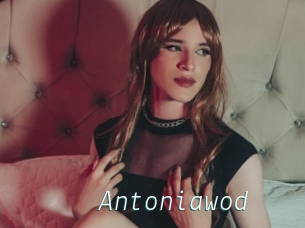 Antoniawod