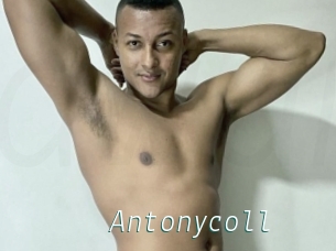 Antonycoll