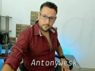 Antonywesk