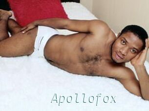 Apollofox