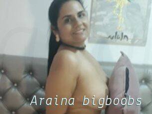 Araina_bigboobs