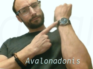 Avalonadonis