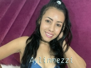 Aylinmezzi