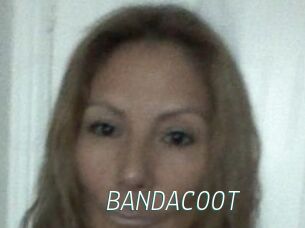 BANDACOOT