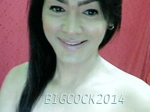 BIGCOCK2014