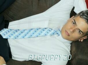 BIGPUPPY20