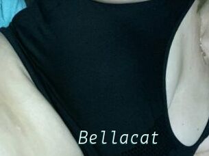 Bella_cat