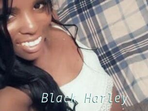 Black_Harley