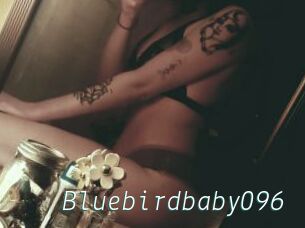 Bluebirdbaby096