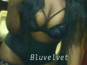 Bluvelvet