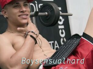 Boysensualhard