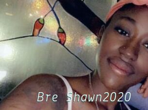 Bre_Shawn2020