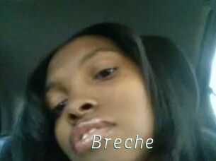 Breche