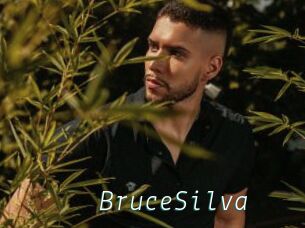 BruceSilva