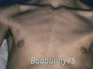 Badbunny75